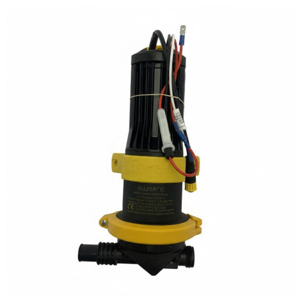 Whale BP2082B Gulper Black Water Waste Pump 12V - 19L/m