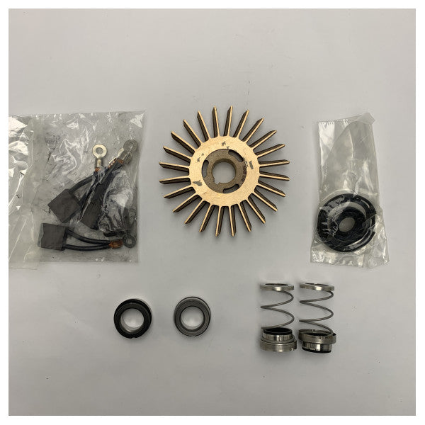 Gianneschi 24V ACM301 og 311BT pumpereparationssæt - KACM30101C