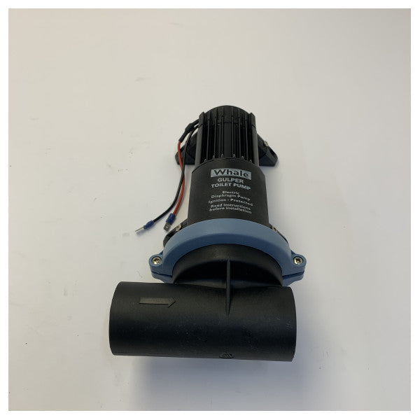 Pompa per acqua nera Whale Gulper 24V - BP2554B - 25 / 38mm / 18L/min