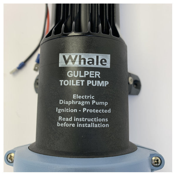 Pompa per acqua nera Whale Gulper 24V - BP2554B - 25 / 38mm / 18L/min