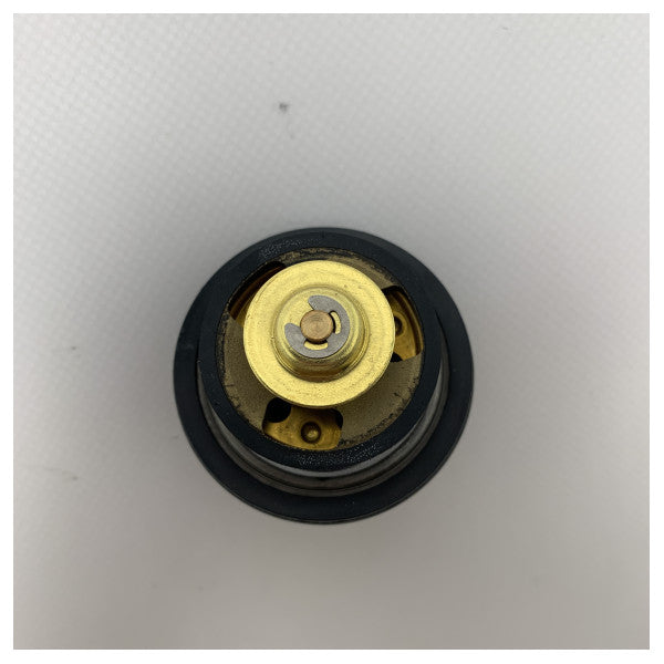 Термостат за охлаждане на двигателя John Deere DZ100553