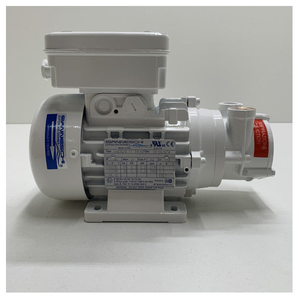 Gianneschi Webasto WB500G pompa acqua raffreddamento aria condizionata 30L/min 230V - WBCL001305A
