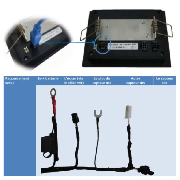 Scheiber IBS 24V + 1 sensor de função de bateria - 50.IBS24V.30-01