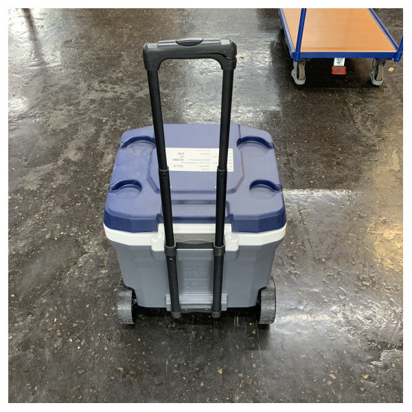 Igloo Maxcold Latitude 62 Roller Cooler 58L mobilna morska lodówka turystyczna na kółkach 