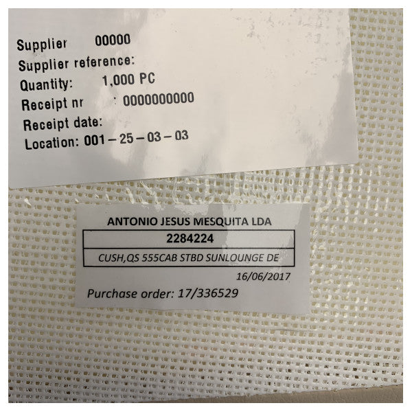 Quicksilver 555 Cabin Kudde för Babordsidan Solsäng Beige - 2284224 