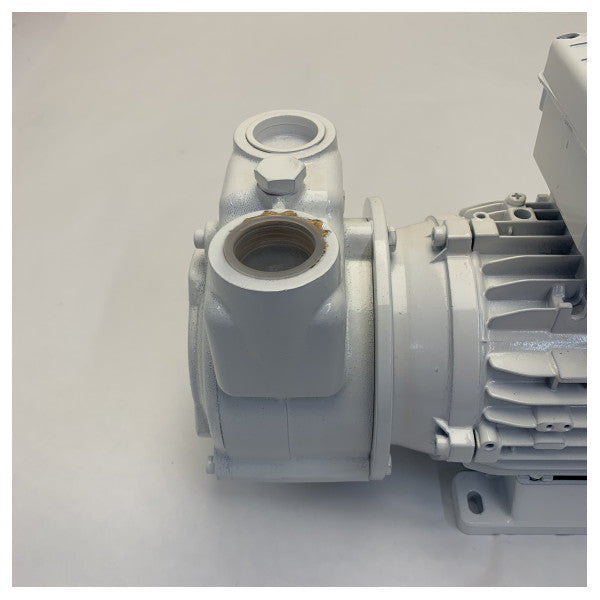 Gianneschi CP26 A1 230V Samousisna brončana pumpa - 01ACP2602A1 