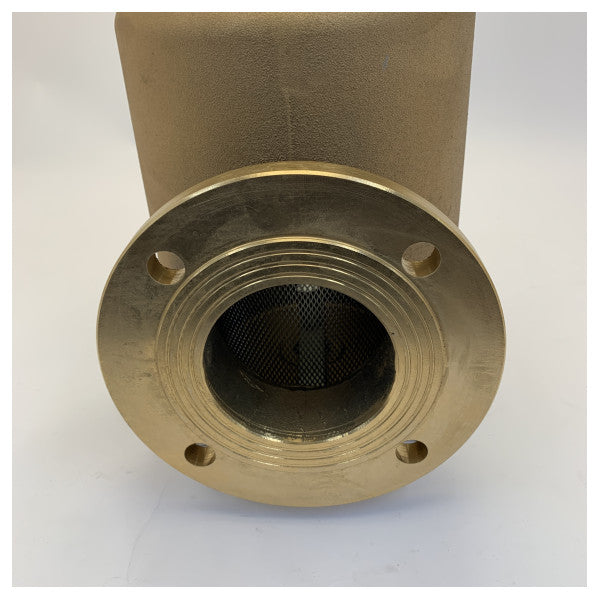 Guidi Bronz Su Süzgeci Dikey Alım DN100-PN6 - 1283.2006M2 